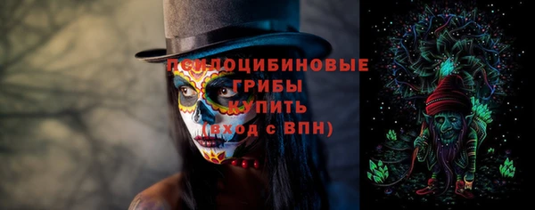 альфа пвп Корсаков