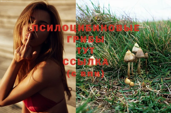 меф VHQ Коряжма