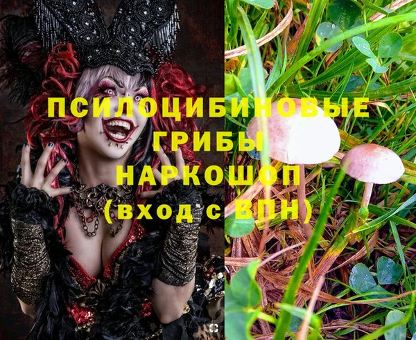 первитин Костерёво
