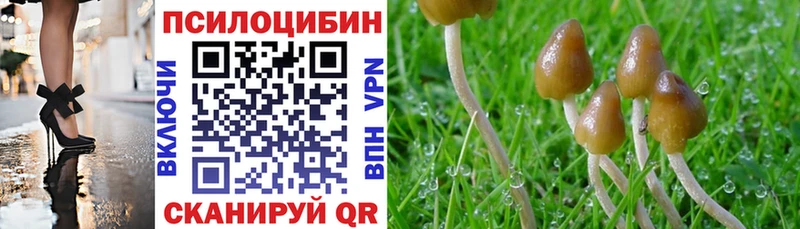 Галлюциногенные грибы мухоморы  Купить где  Вилючинск 